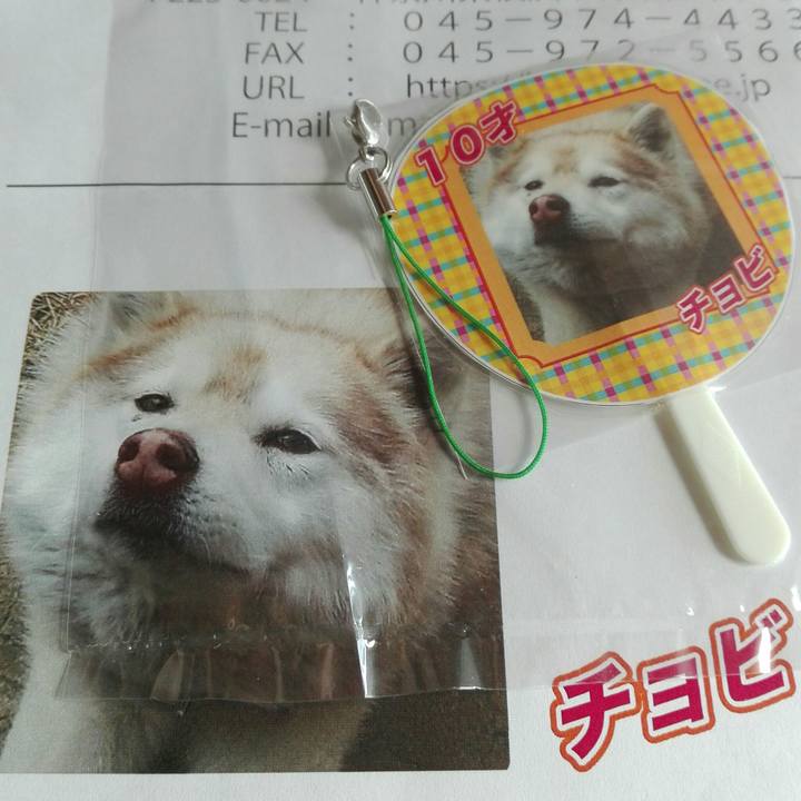 D7dfed8c cba0 41cb b1e2 82815b93fead 1584841030790