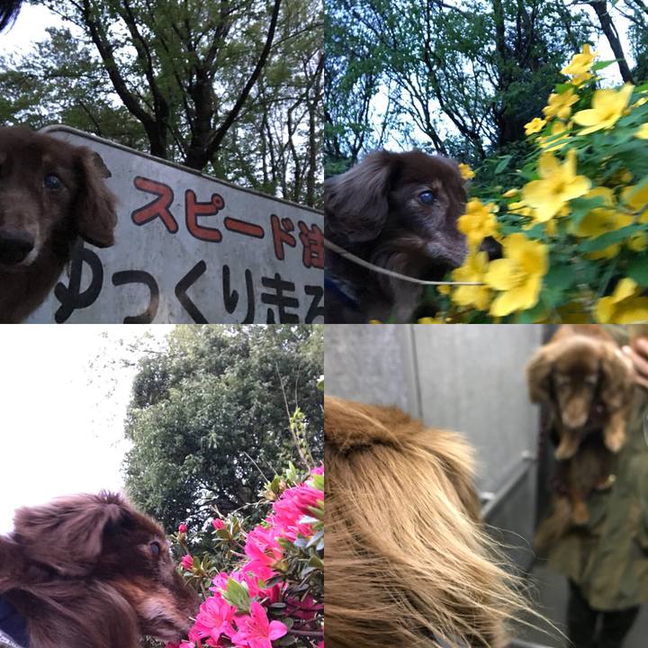 D7e057cc 8709 4ae3 be62 cd3e06038a41 1523488796408