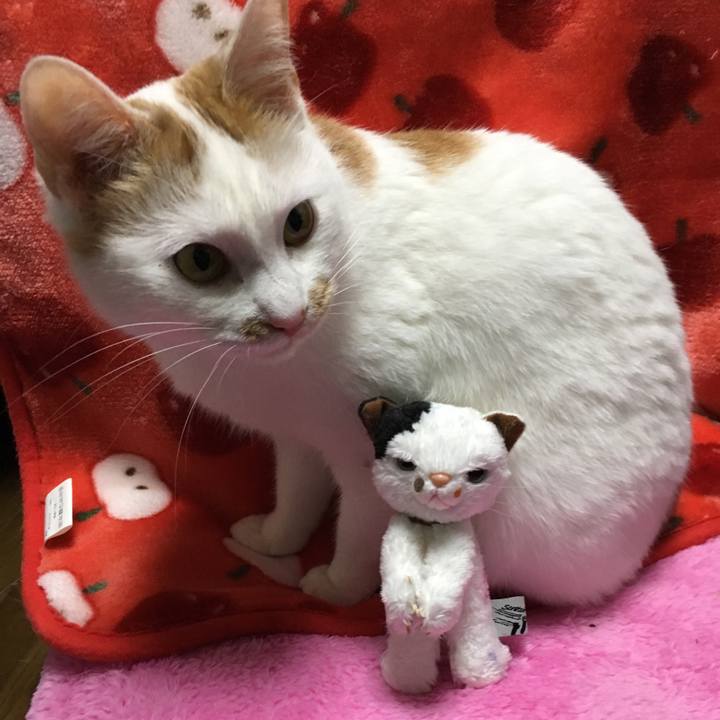 D7e066c8 92a6 4ee3 a6a2 0764de746316 1513522589582