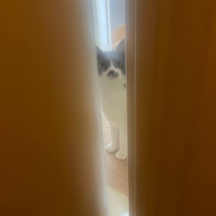 D7e08a0f 967b 4ece 99a2 dd6ca3715616 1626044789952