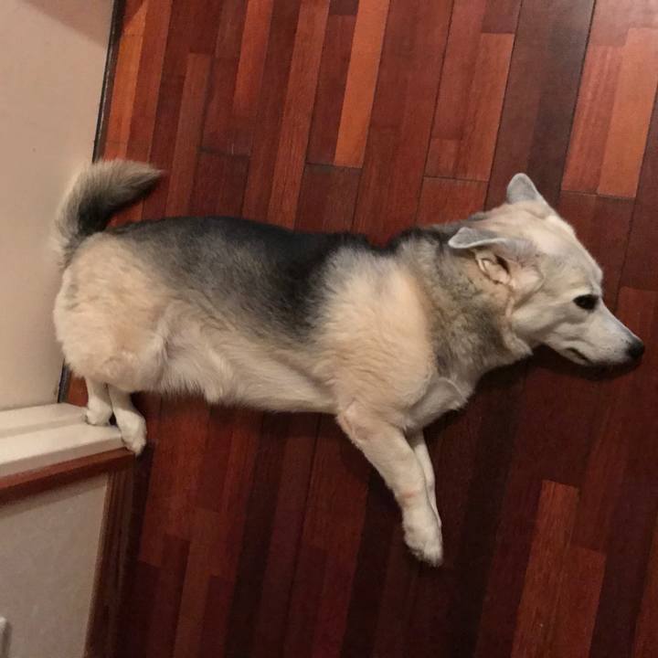 D7e09b2b 78e1 4897 af35 2c31ba8cba7c 1597969913837