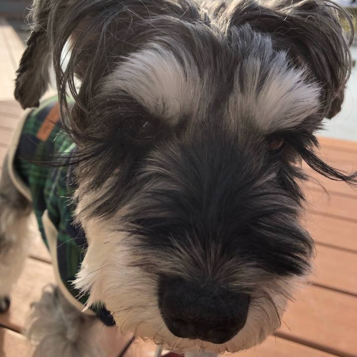 D7e0d9fd 64e1 41e1 ad71 76d2ef1959ff 1668850219392