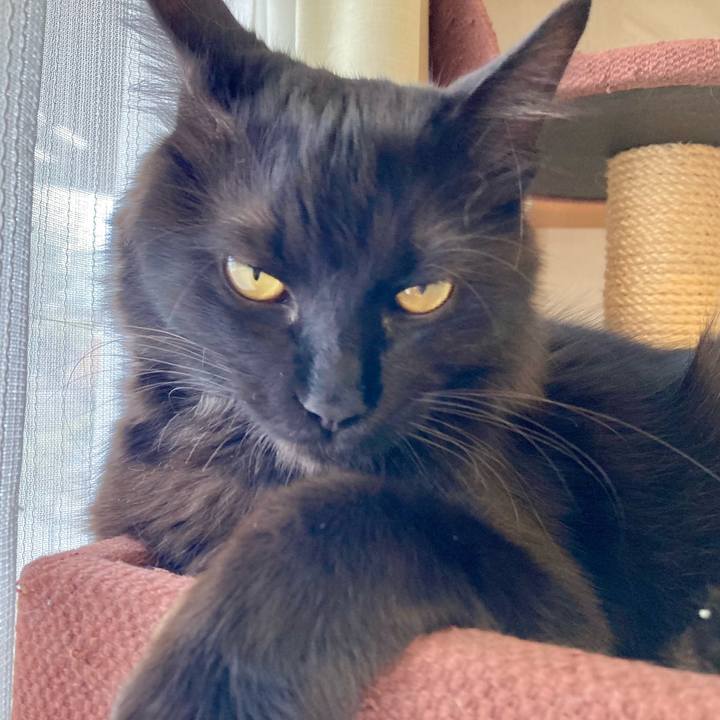 D7e0fef0 bee4 4aba 8f4e a8a4d544b377 1712917718096