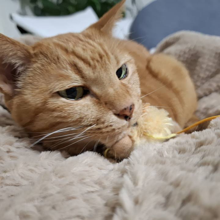 D7e11a6a b180 4599 b841 bdf8ac5497e8 1736802412342