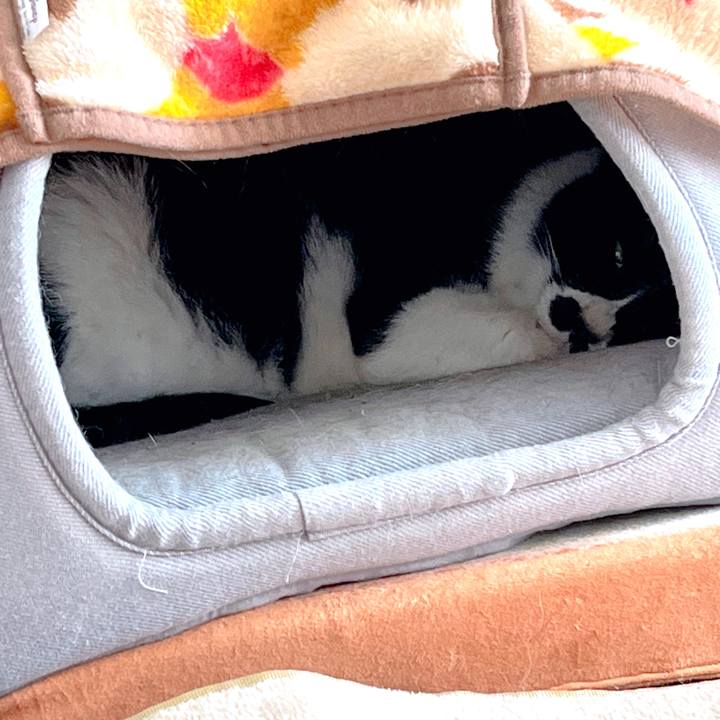 D7e11e26 db4e 4690 ac1f 282be7e2499c 1666860782825