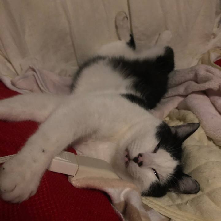 D7e147c4 9d3e 4c30 af91 d721083535e0 1604681661106