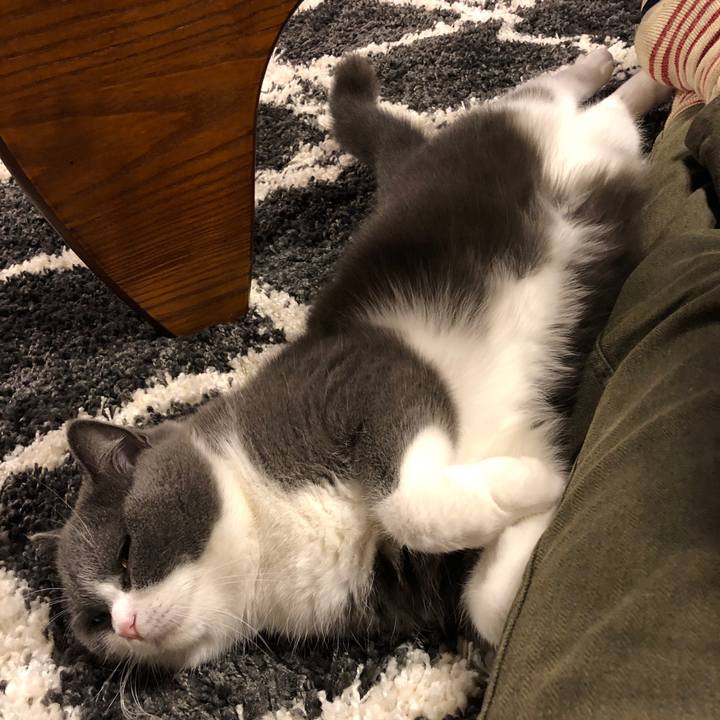 D7e1480b d587 4e88 85dc 163c52ad908d 1574125446937