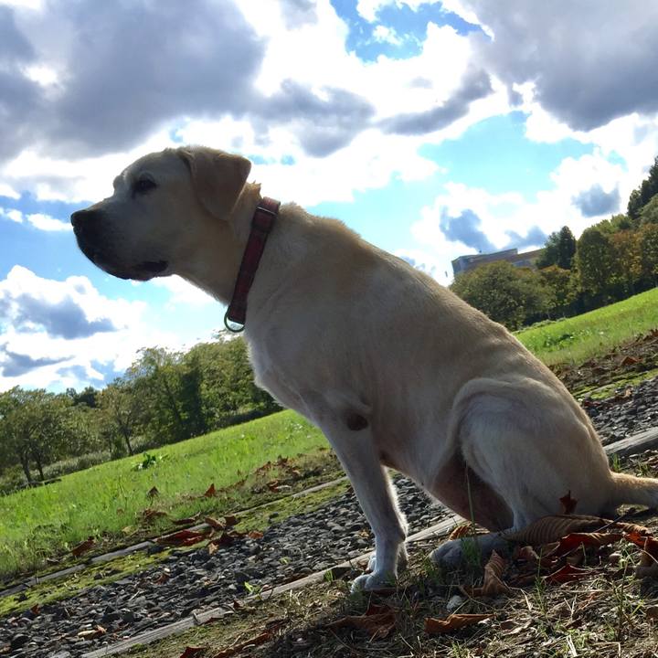 D7e14f4d 4a7a 4baa ab1a 55f363223cf0 1565409756894