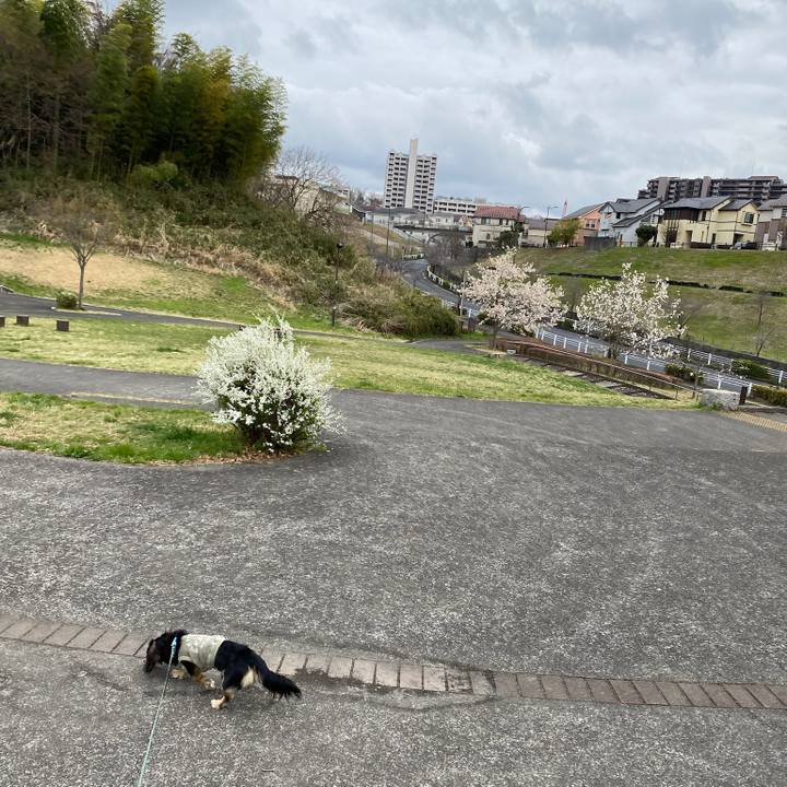 D7e1af62 2cd6 4eea a176 b94829bd9cc0 1679414915362