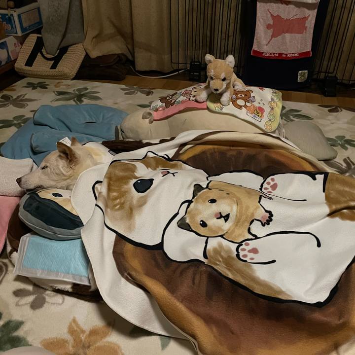 D7e1c160 c8f9 4acd b232 7fdc020b1adc 1679924303186