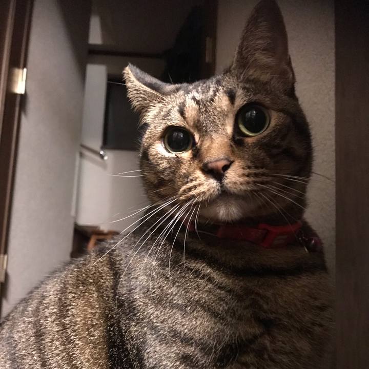 D7e1c9e2 f800 41d5 9132 ee890d7c9cb8 1542285903045