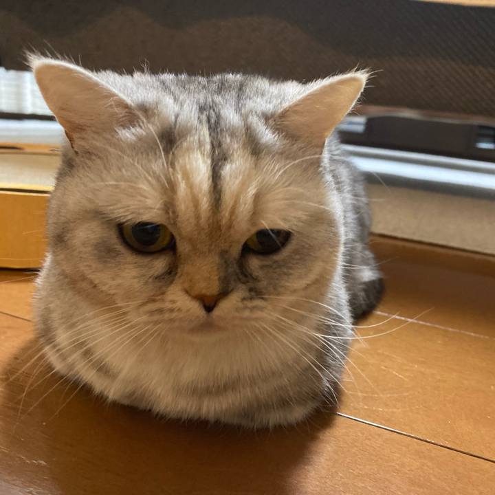 D7e1ca70 d495 45a1 a56d 0a6cccc80dd8 1738228978899