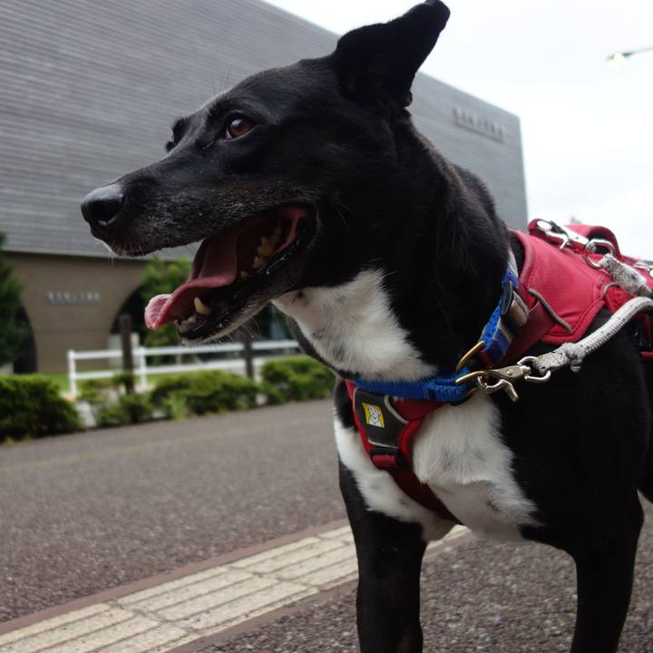 D7e1e032 fee7 4d55 b531 82e6436a08c9 1661644726256