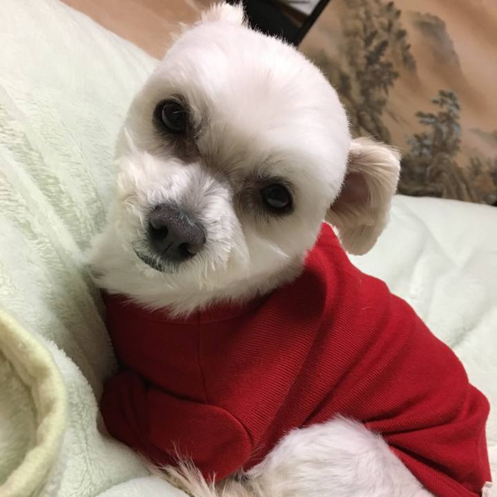 D7e1f15a 7efe 445d a382 f49d84ebd2f7 1515405447929