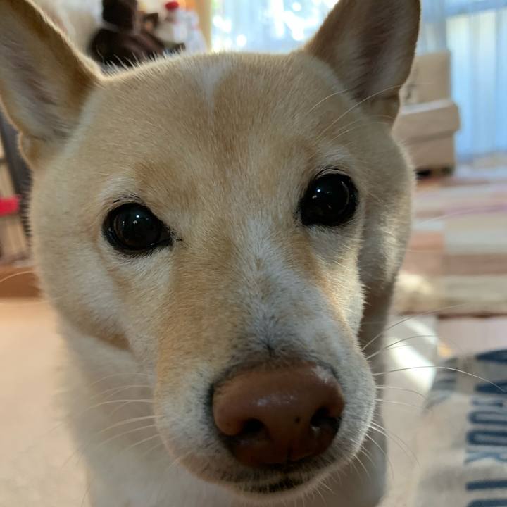 D7e1fe69 ea1c 449c b36d 5b250bab6729 1635547744064