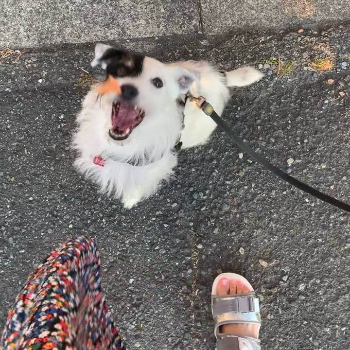 D7e20c86 460a 4b75 a2f6 a4f29390fe4f 1689846909898