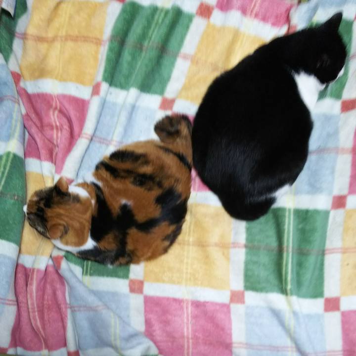 D7e23ee4 0a82 4990 94f9 a573d151853c 1540732300617