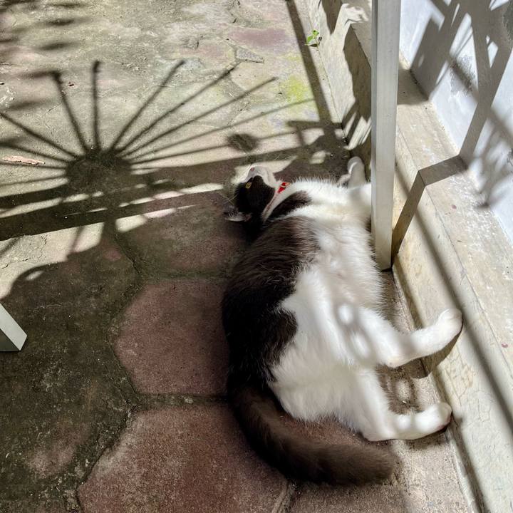 D7e264b1 fc72 4c06 a562 4ad417996387 1773974464361