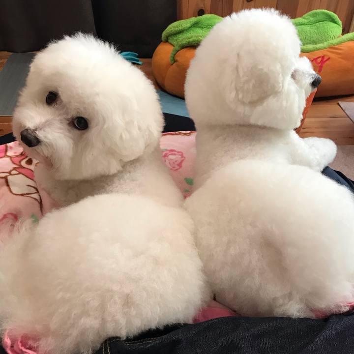 D7e2a74f 58e4 4d57 9b76 cef22f23eb10 1571823475447