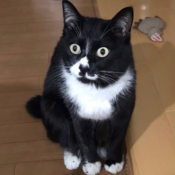 D7e2d071 c11e 4194 80c2 37752e3fadee 1621999945336