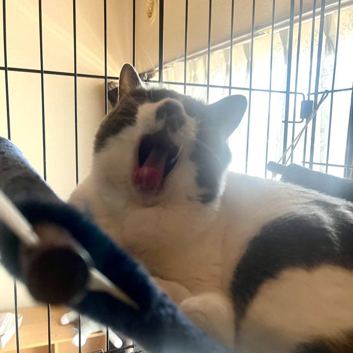 D7e2ecde 1fb0 4ea4 8173 6cf2dc1d7c63 1684542899461