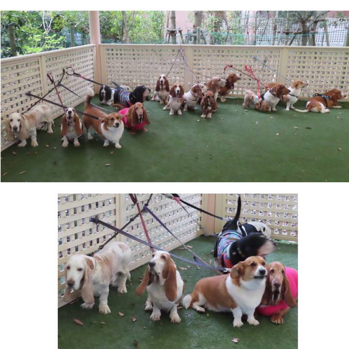 D7e2ed7b 0fd9 432f baa5 36e224171933 1636426529706