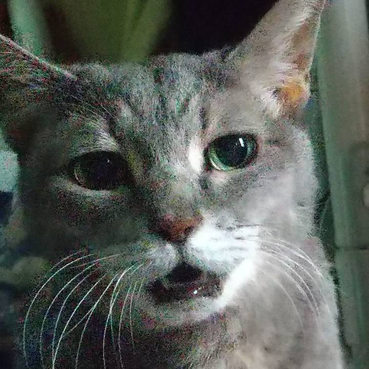 D7e2f3d2 6de3 417b 8a9d 169fd377aa52 1697327691593