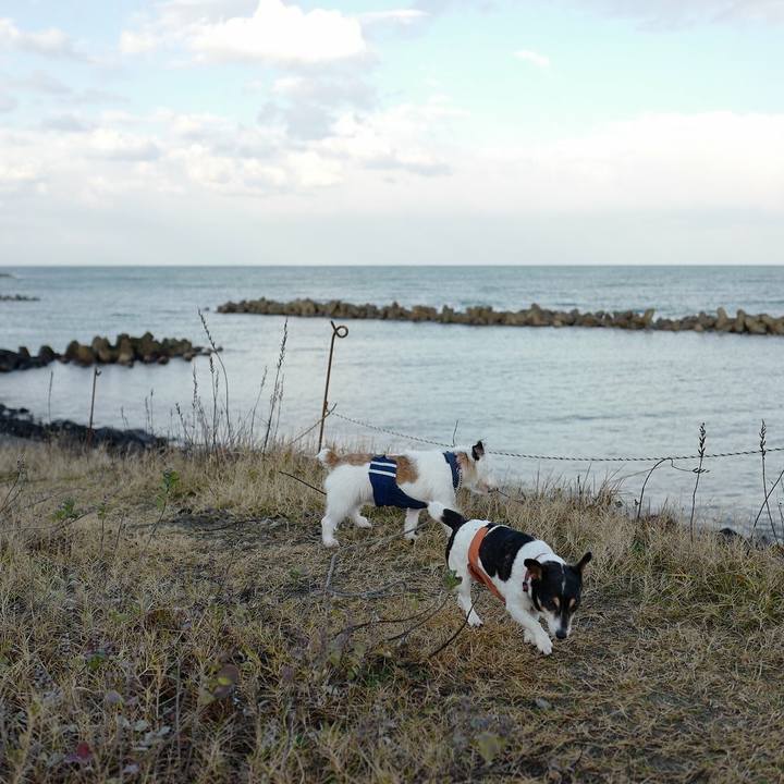 D7e2f727 e0f0 4b53 8092 d4b5eb76bf99 1542771984989