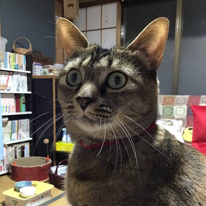 D7e2fe46 e02b 4308 8456 b6375fe6dfe7 1671976048179