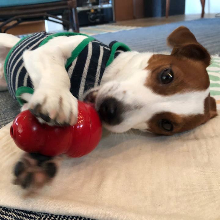 D7e33f96 f55a 47d2 8912 9ab1a89142d7 1548576509876