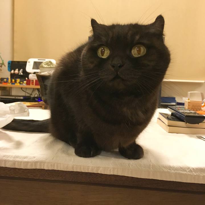 D7e37831 3e17 4dca 95d2 5381abb8016c 1512654380064