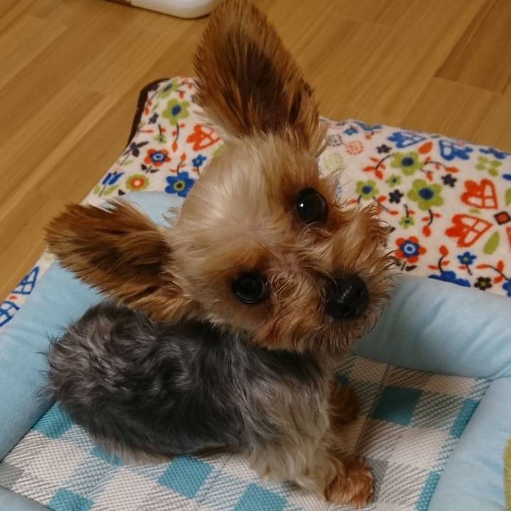 D7e378bb 18e1 4f6b 8c21 9107205d229e 1534203791906