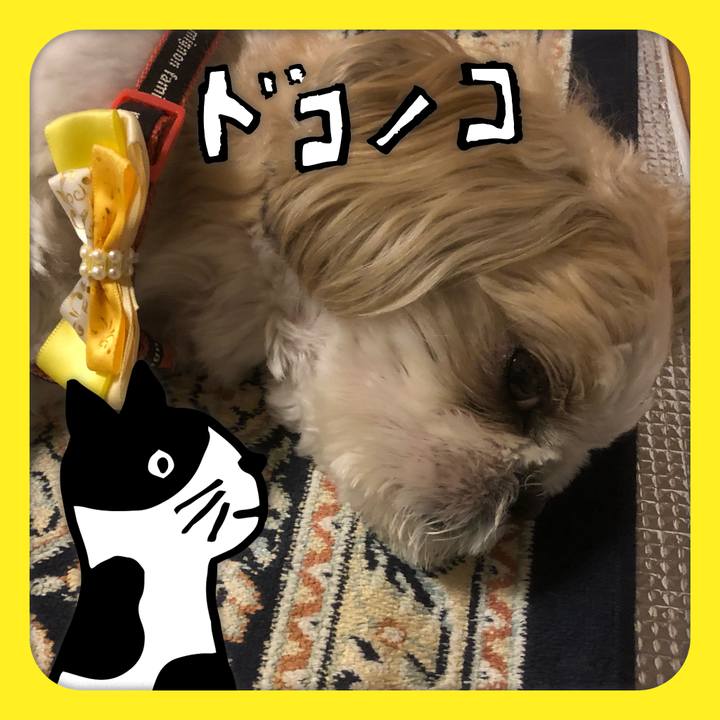 D7e3bfa6 b1db 44d5 92ec a99a555b293b 1622900478009