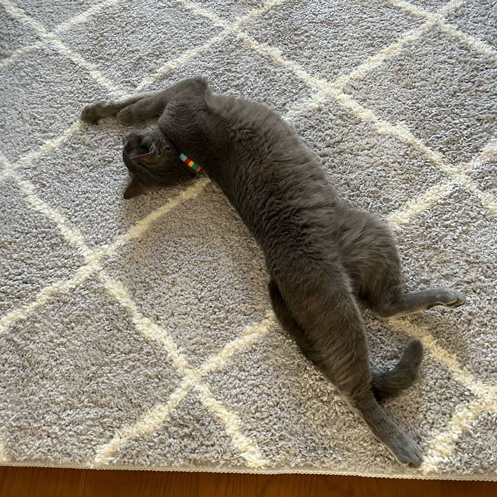 D7e3cad9 b92c 452d afda 0d99760dc8e5 1693866293885