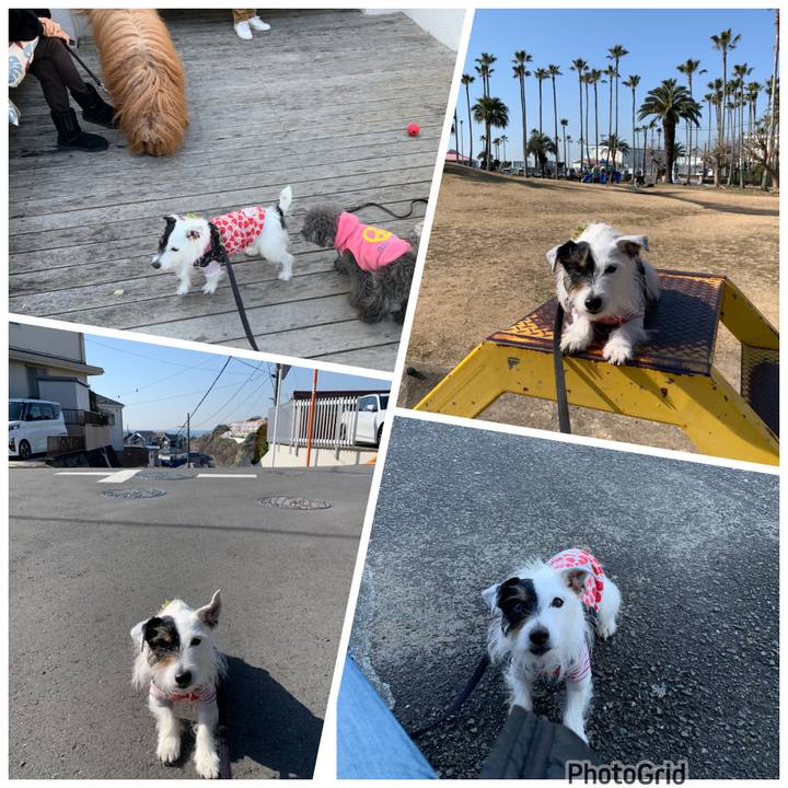 D7e3fb0d 9c43 4206 ac81 04cff47a645a 1676686924487