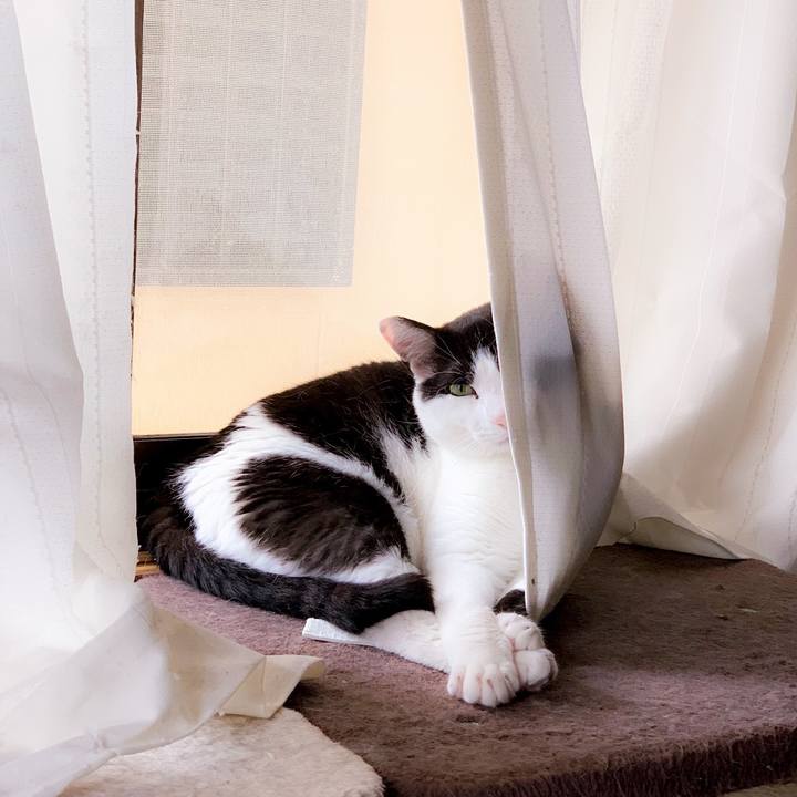 D7e439fa 3b5d 4ff6 8b46 c28c969998f6 1563068899062