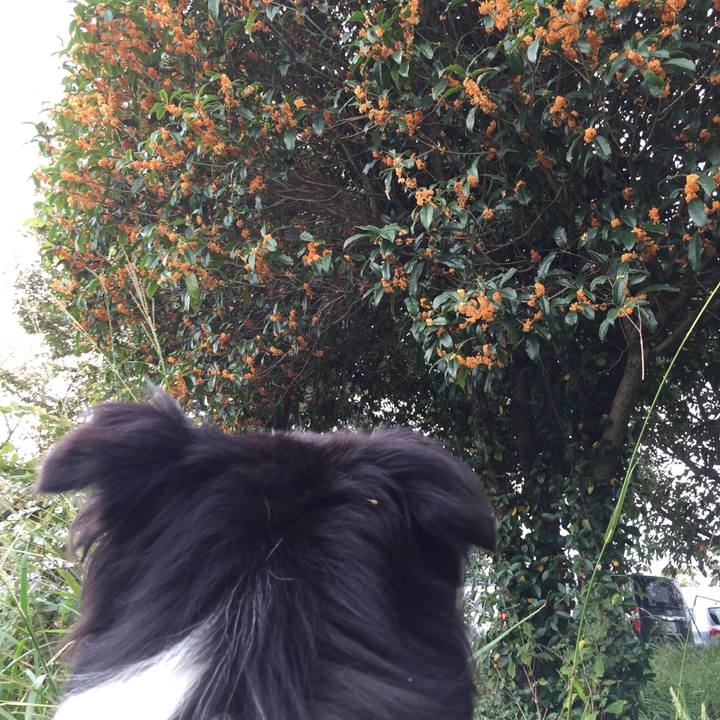 D7e49ada 1305 4b2a 9c81 3be121f45bee 1539219311239