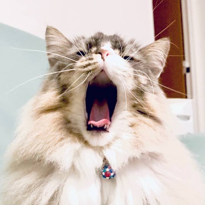 D7e49d4c 0e8a 4561 9e00 03a9dc731ef7 1676134994443