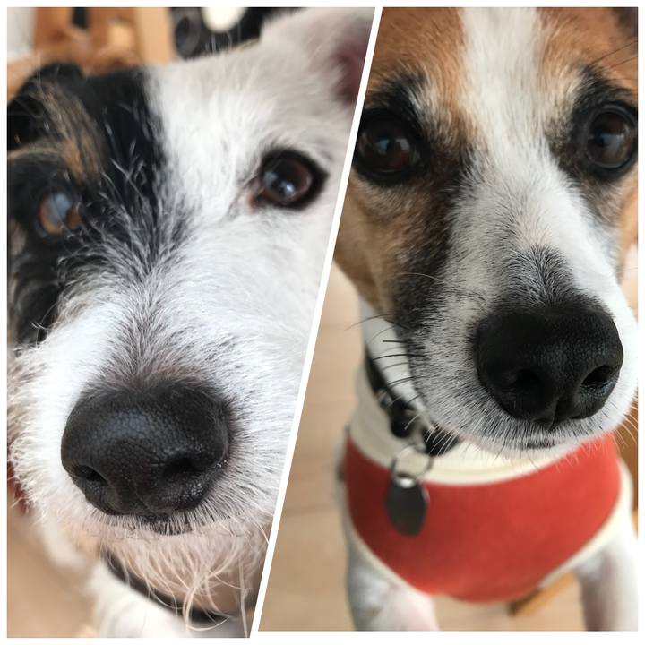 D7e4a3a3 09e2 41f2 8762 e5ded6907573 1512866265329