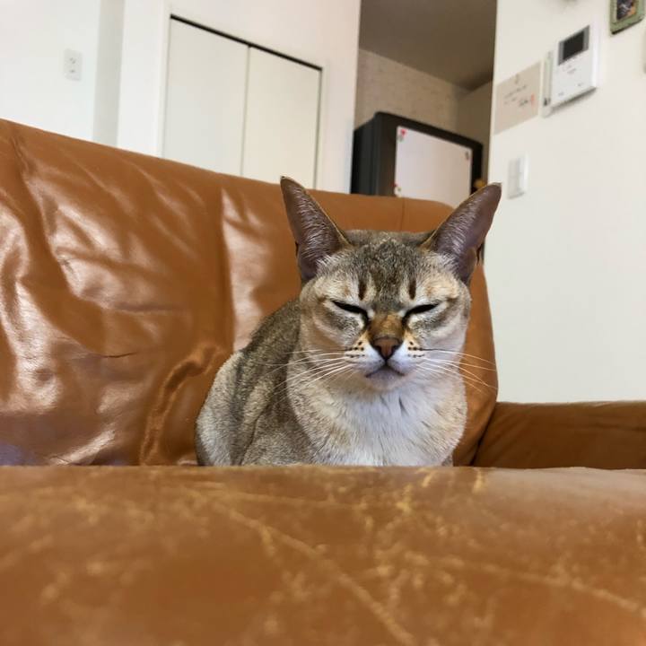 D7e51a28 c3da 4441 bc25 dc3103ba4e52 1548759669929