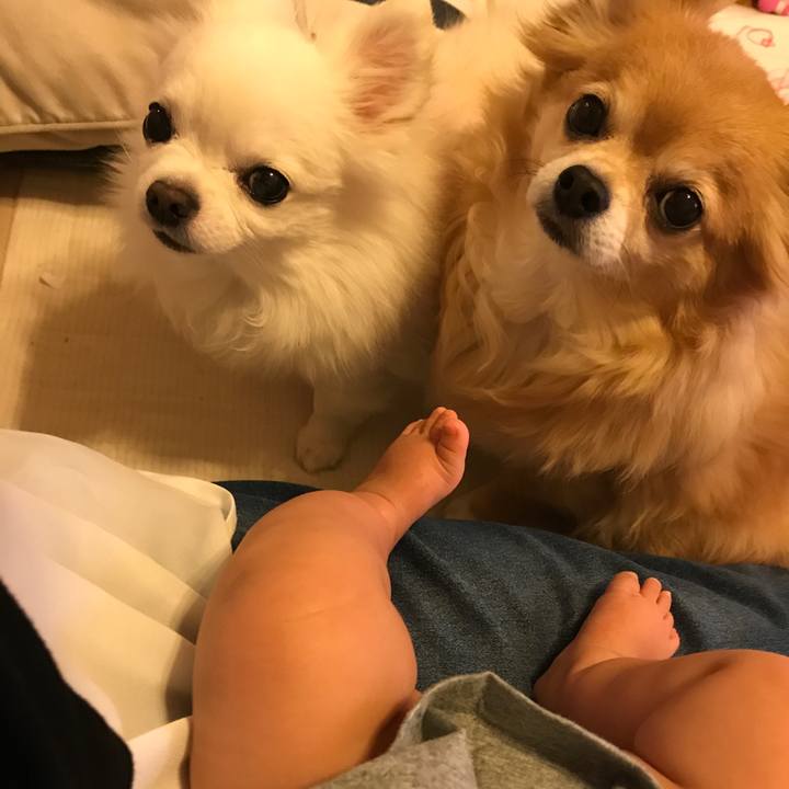 D7e5473f 8ba7 42e2 8761 1a990cee1e84 1521022304252