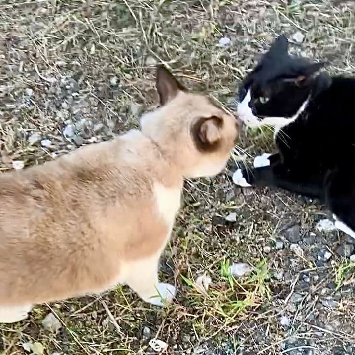 D7e57bef 687c 48c0 8b44 9fa4cf3c9e4a 1728631320707