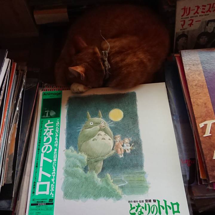 D7e5883e 44b8 4109 8481 a0b8ea29951c 1596335419011