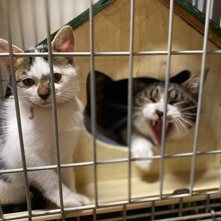 D7e5896f 303a 4c49 9756 180e5168d4a4 1602929511870