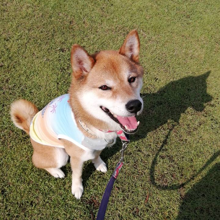 D7e59d5f 50dd 4311 a219 c2220a98c182 1595402385666