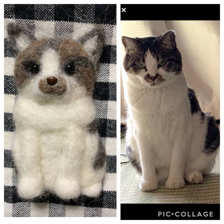 D7e5ba27 0656 4c65 aa49 608ff47293df 1572695333886