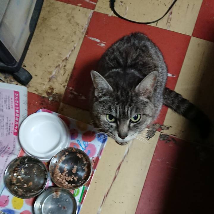 D7e5cde0 9a53 469a 9fd9 c33e5faf61a5 1552338428513