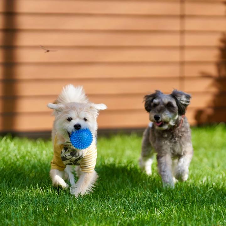 D7e5e9b5 c34d 41d7 8a8b 5dd2c0ad91a7 1758717837289