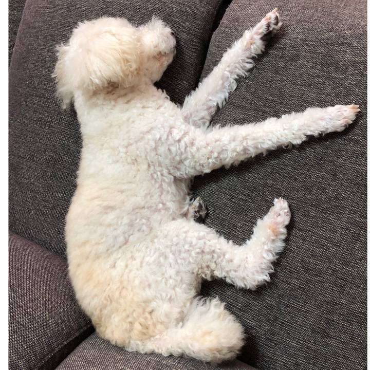 D7e5ef51 e1ee 4c19 b972 f1a6d563dbbe 1543930321307