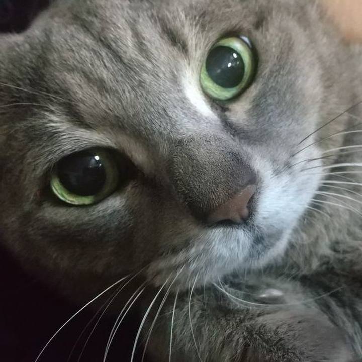 D7e6238b 1891 405e ab41 a2582f2fe114 1644277962915